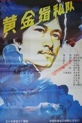 黄金缉私队封面图