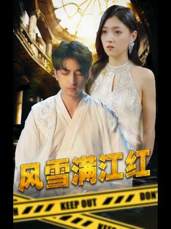 风雪满江红封面图