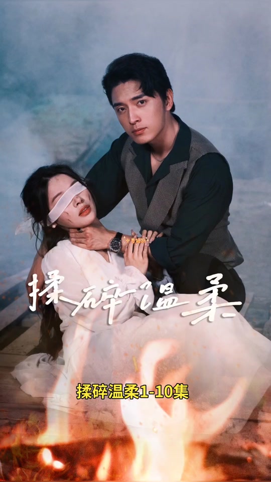 揉碎温柔封面图