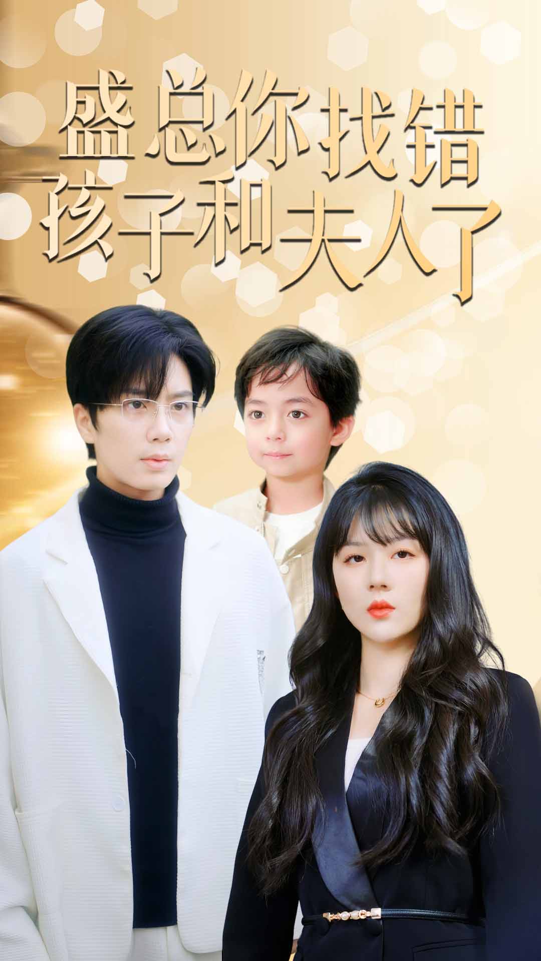 盛总你找错孩子和夫人了封面图