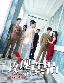 玫瑰的真相封面图