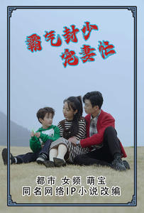 霸气封少宠妻忙封面图