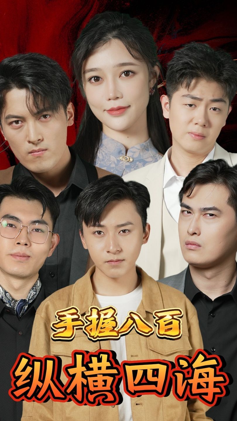 手握八百纵横四海封面图