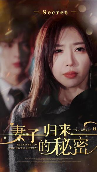 妻子归来的秘密封面图