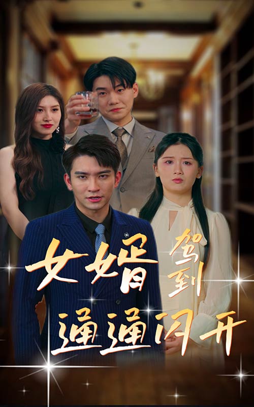 女婿驾到，通通闪开封面图