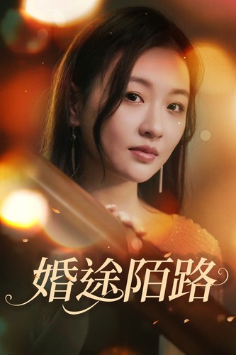 婚途陌路封面图