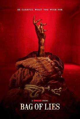 魔袋谎言封面图