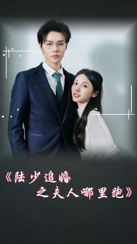 陆少追婚之夫人哪里跑封面图