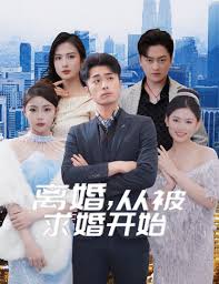 离婚从被求婚开始封面图