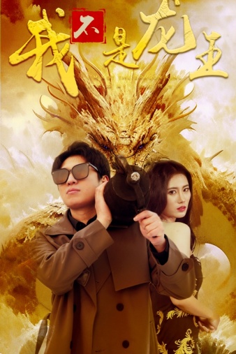 我不是龙王封面图