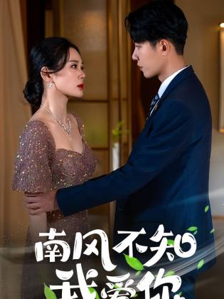 南风不知我爱你封面图