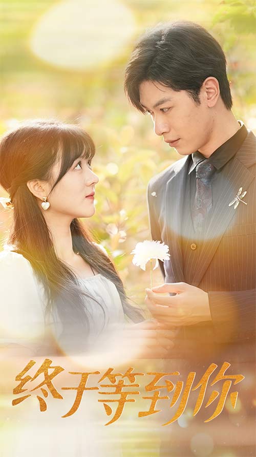 终于等到你$你是我的木槿年华封面图
