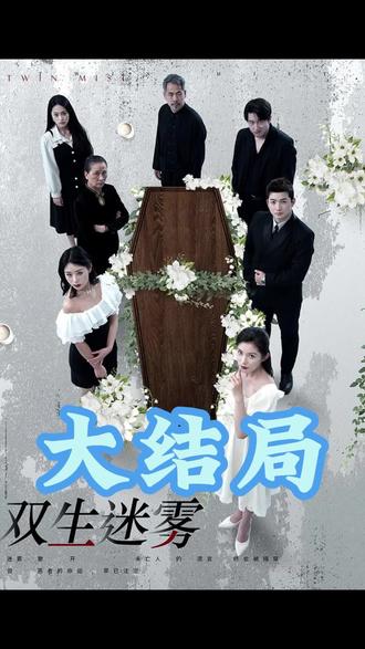 双生迷雾封面图