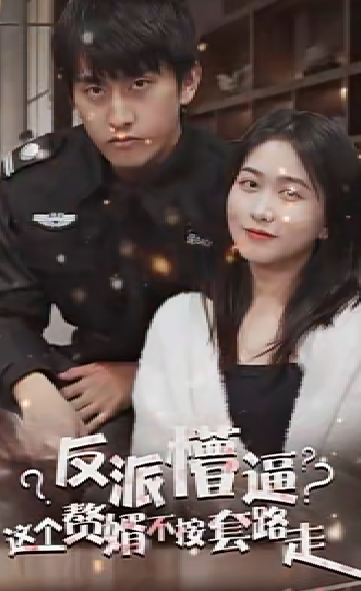 狂医废婿封面图