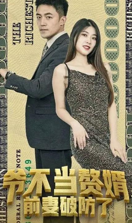 爷不当赘婿，前妻破防了封面图