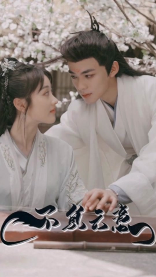 不负云意封面图