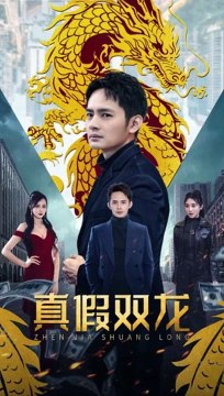 真假双龙封面图