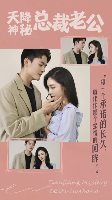 天降神秘总裁老公封面图