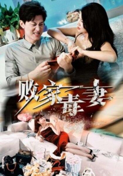 败家毒妻封面图