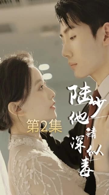 陆少他情深似毒封面图