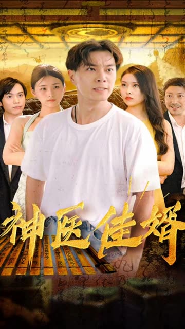 神医佳婿封面图