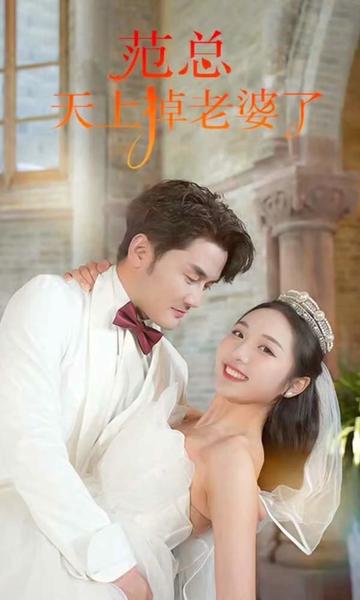 范总天上掉老婆了封面图