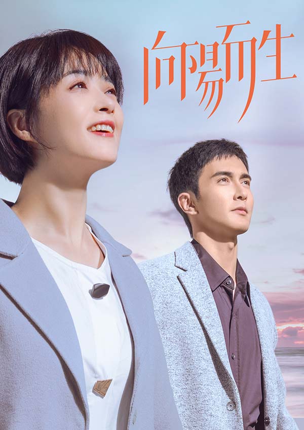 向阳而生封面图