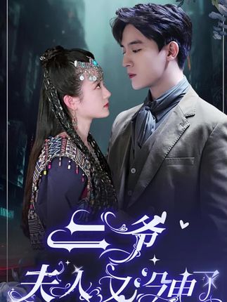 二爷夫人又没电了封面图