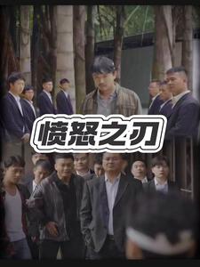 愤怒之刃封面图