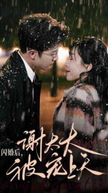 闪婚后，谢太太被宠上天封面图