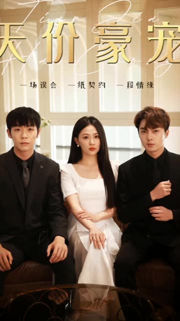 天价豪宠封面图