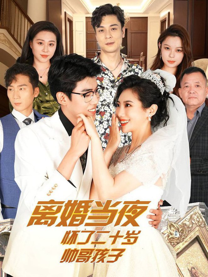 离婚当夜怀了二十岁帅哥封面图