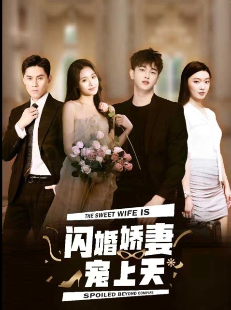 闪婚娇妻宠上天封面图