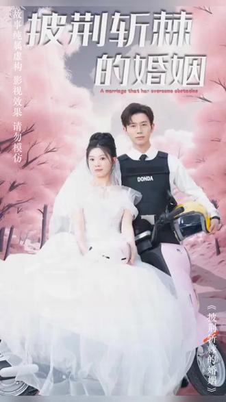 新：披荆斩棘的婚姻封面图