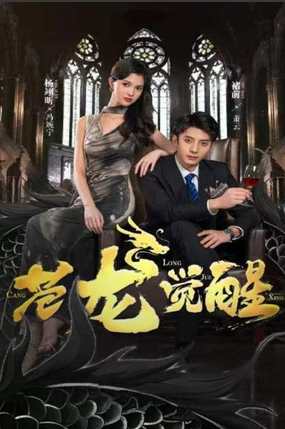 苍龙觉醒封面图