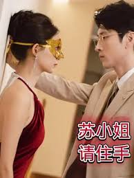 苏小姐请住手封面图