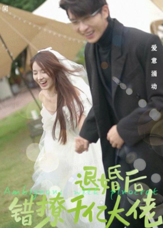 退婚后，错撩千亿大佬封面图