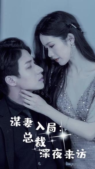 谋妻入局：总裁深夜来访封面图