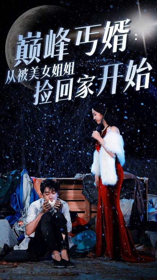 巅峰丐婿 从被美女姐姐捡回家开始封面图