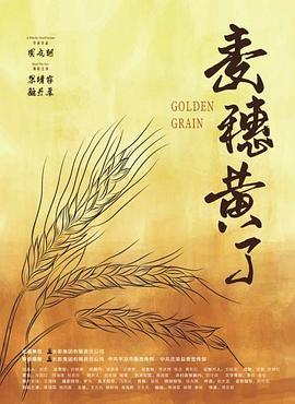 麦穗黄了封面图