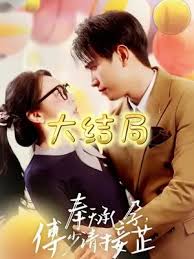 奉天承孕：傅少请接芷封面图