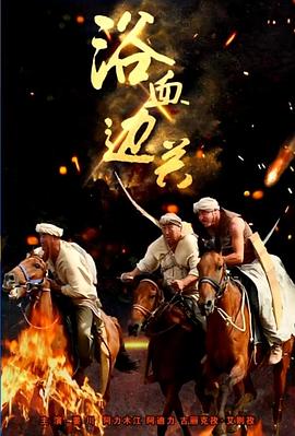 浴血边关封面图