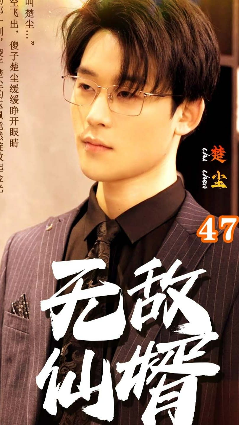 无敌仙婿封面图