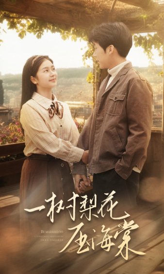 一树梨花压海棠封面图