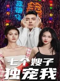 七个嫂子独宠我封面图