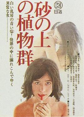 沙上的植物群封面图