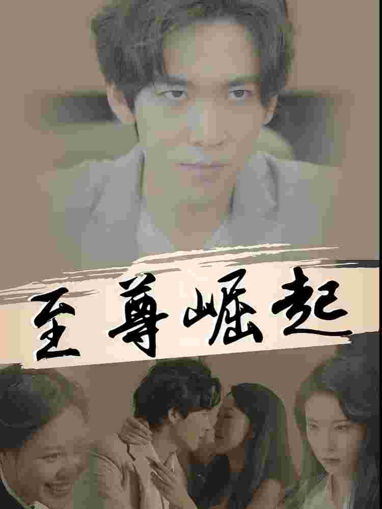 至尊崛起封面图