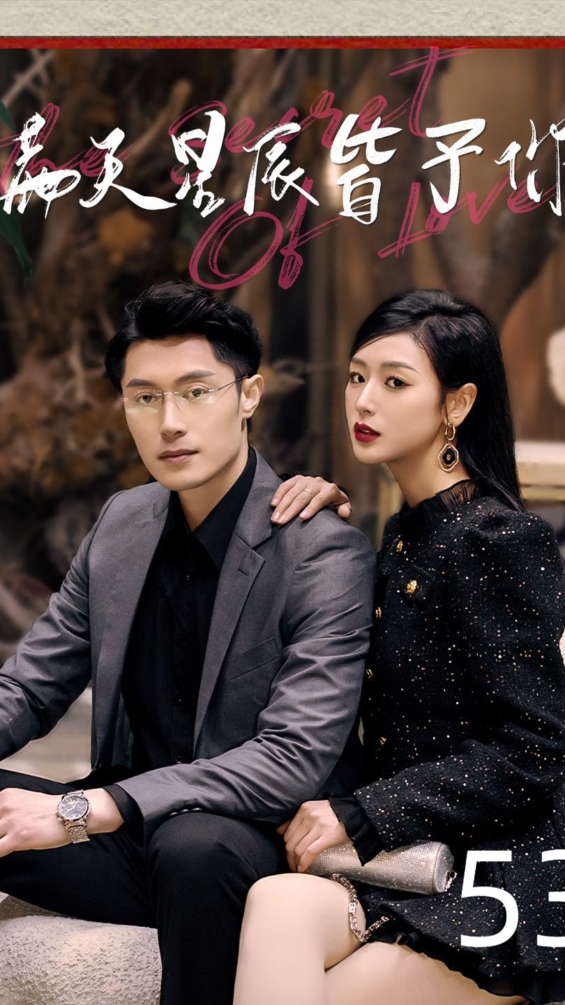 满天星辰皆于你封面图