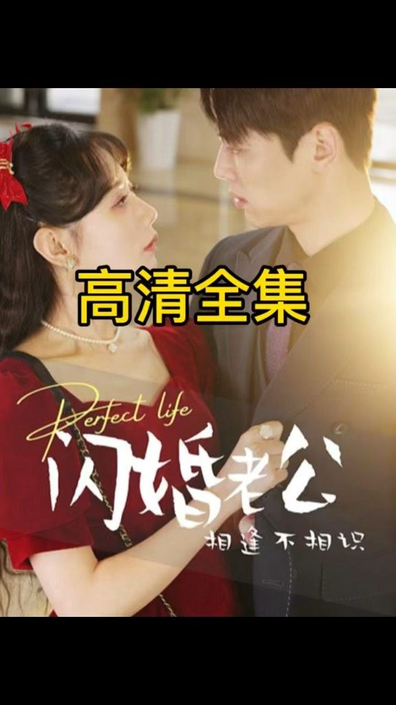 闪婚老公相逢不相识封面图