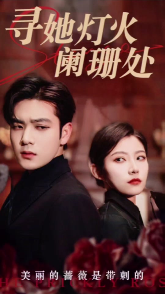 寻她灯火阑珊处封面图